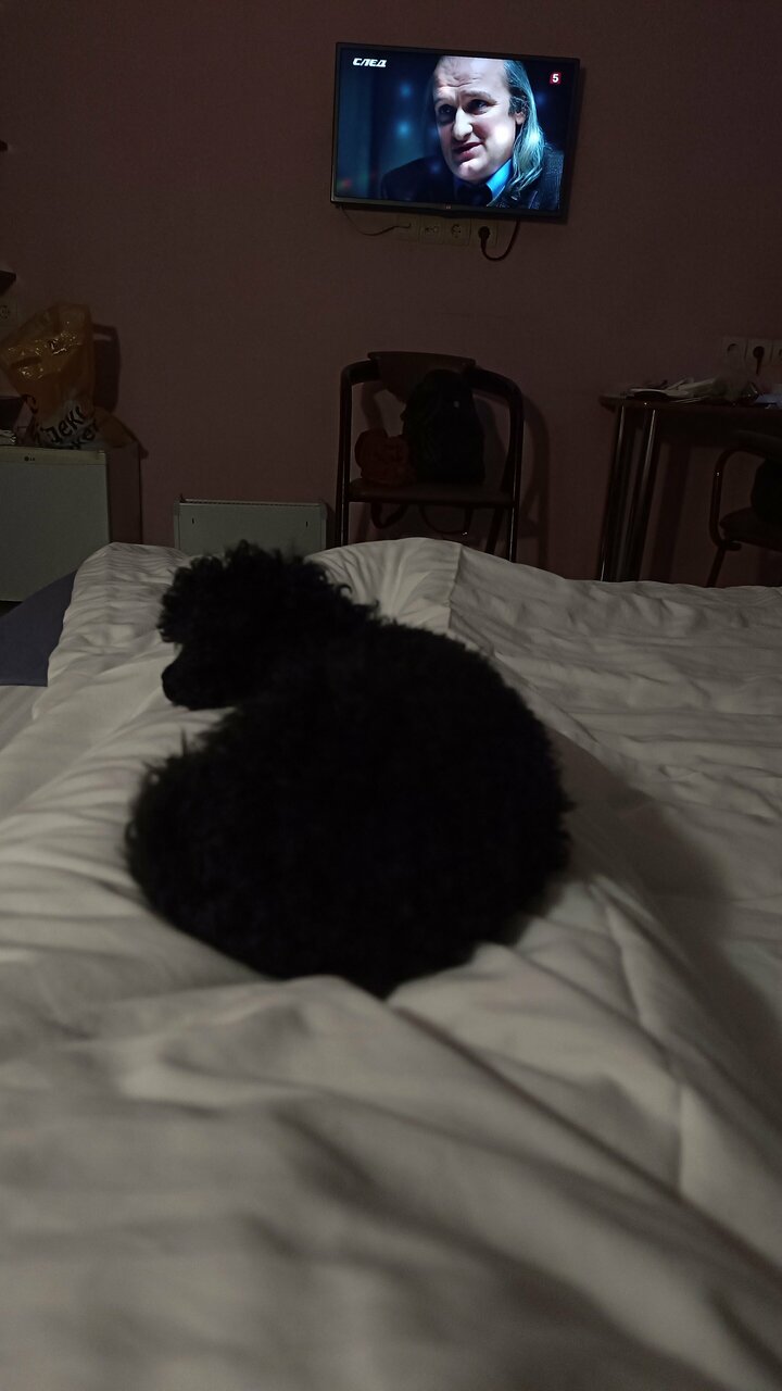 Гостиница Бригантина Хабаровск-136