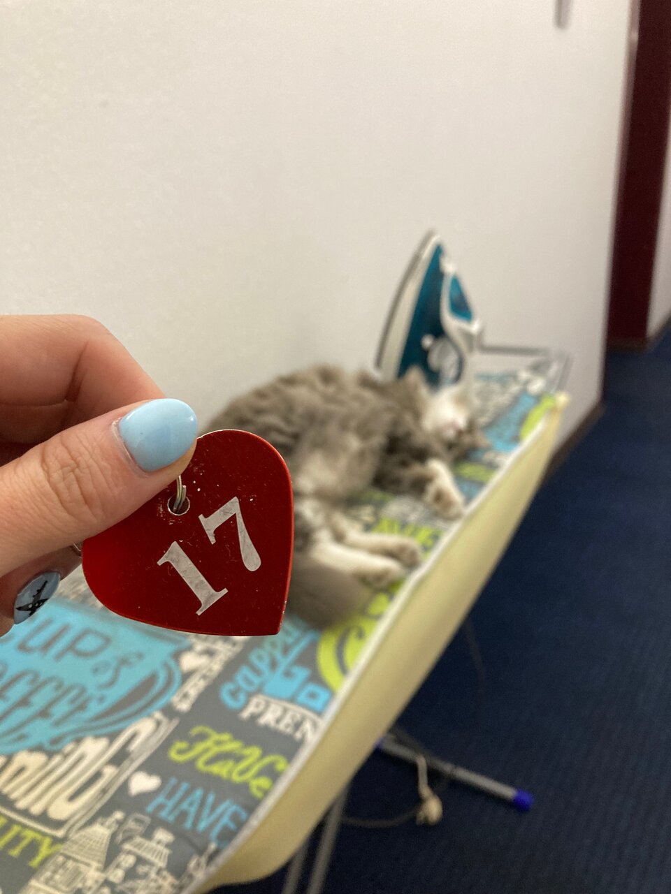 Гостиница Бригантина Хабаровск-8