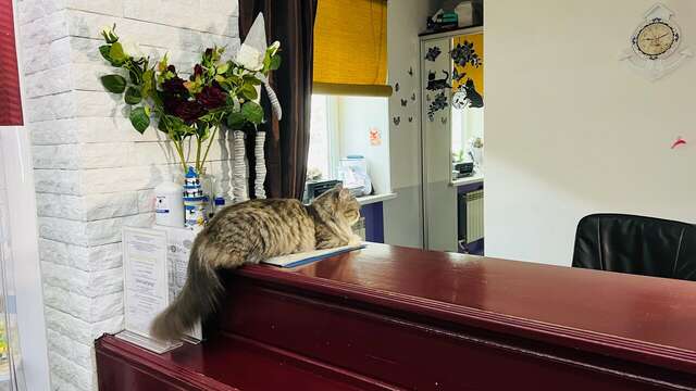 Гостиница Бригантина Хабаровск-32