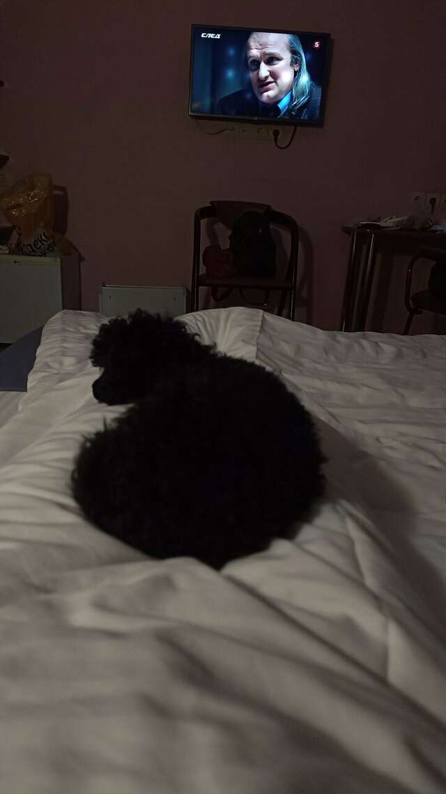 Гостиница Бригантина Хабаровск-135