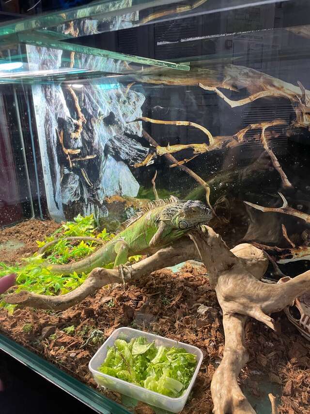 Гостиница Бригантина Хабаровск-17