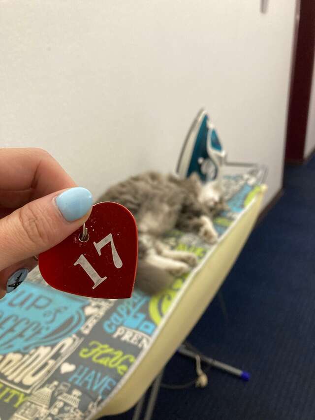 Гостиница Бригантина Хабаровск-7